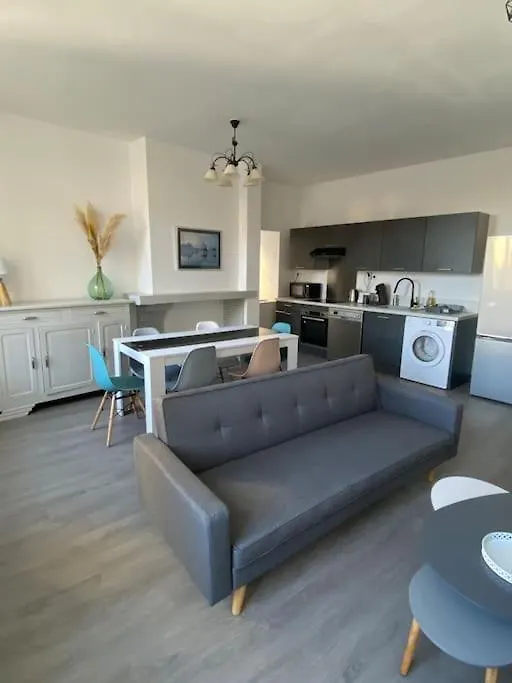3 Pieces Spacieux Plein Centre, Parking,Clim, Terrasse, Jardin Foix